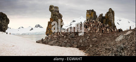 L'Antarctique, l'île de la demi-lune, Baliza Hill, colonie de manchots à jugulaire, vue panoramique Banque D'Images