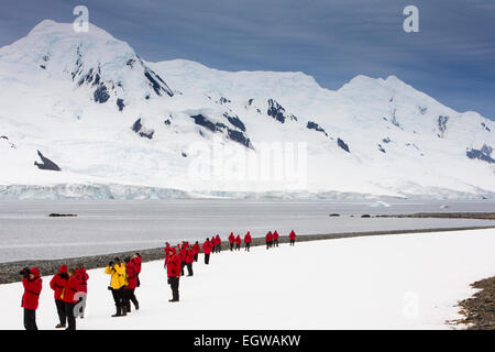 L'Antarctique, l'Antarctique, est la demi-lune, navire de croisière, passengrs parkas porter du rouge on beach Banque D'Images