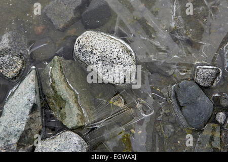 L'Antarctique, l'Île Half Moon beach, rochers de granit pris dans la glace Banque D'Images