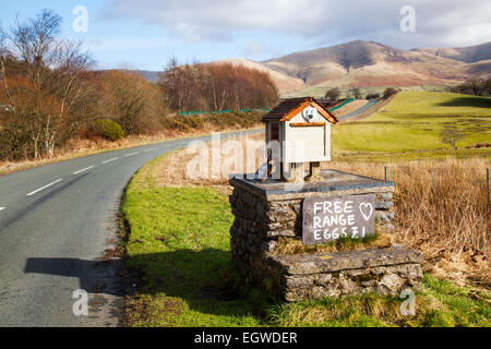 « No eggs Today » Publicité routière, volaille, oiseau, agriculture, et informations sur le cairn de pierre vendant des oeufs de la gamme libre, Tebay, Shap, Cumbria, Royaume-Uni Banque D'Images