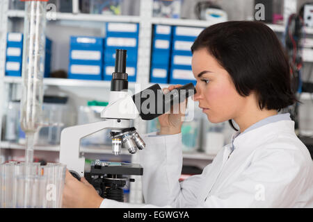 Jeune femme scientifique à l'aide d'un microscope dans un laboratoire scientifique. Banque D'Images