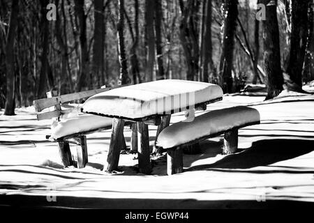 Banc et table avec de la neige dans la forêt en niveaux de gris Banque D'Images