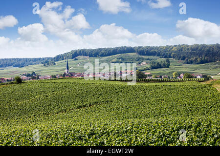 Vignes et village de Chamery dans les montagnes du Parc Régional de Reims, Champagne, France Banque D'Images