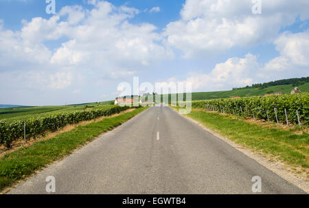 Route sur la Route du Champagne entre Festigny et Leuvigny villages de Champagne, France, Europe Banque D'Images