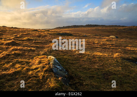 Soirée chaleureuse lumière à Sharptor sur Bodmin Moor Banque D'Images
