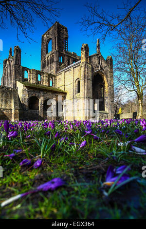 Kirkstall Abbey, Leeds, West Yorkshire au printemps Banque D'Images