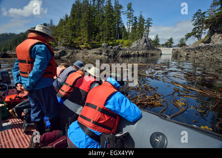 L'éco-touristes dans un canot pneumatique Zodiac Haida Gwaii (îles de la Reine-Charlotte) Parc national de Gwaii Haanas en Colombie-Britannique Banque D'Images