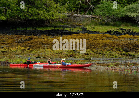 Les kayakistes dans passage Burnaby Haida Gwaii (îles de la Reine-Charlotte) du parc national Gwaii Haanas British Columbia Canada Banque D'Images