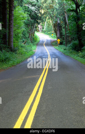 La lumière du soleil peut à peine filtrer à travers la forêt tropicale dense couvert sur cette route de vacances Banque D'Images