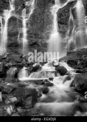 Chutes Tangle. Le Parc National Jasper, Alberta, Canada Banque D'Images