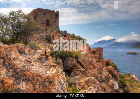 Vue côtière colorée avec une tour de pierre en Corse, France Banque D'Images