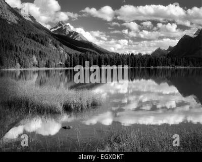 Les nuages et la réflexion dans les lacs de la sauvagine. Le parc national Banff. L'Alberta. Le Canada. Banque D'Images