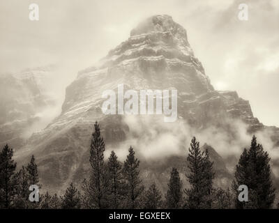 Mt. Khéphren dans le brouillard et la pluie/neige. Le parc national Banff, Alberta, Canada Banque D'Images