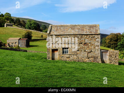 Les granges en pierre et murs en pierre sèche près de Muker, Swaledale Banque D'Images