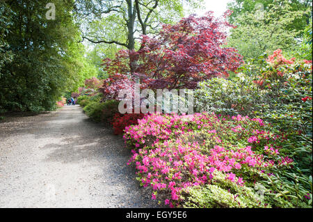 Fleurs et jardin d'Exbury Hampshire House Banque D'Images