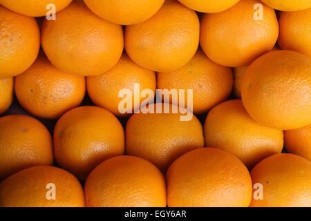 Orange (Citrus sinensis) Banque D'Images