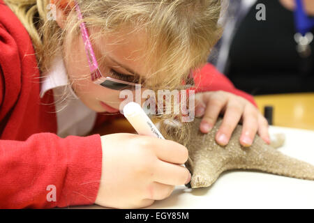 Malvoyants girl round large coquille. Nottinghm Mysight Banque D'Images