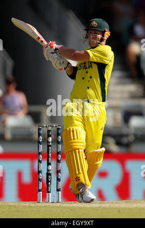 Perth, Australie. 08Th Mar, 2015. ICC Cricket World Cup. L'Australie contre l'Afghanistan. David Warner tire la balle à la limite. Credit : Action Plus Sport/Alamy Live News Banque D'Images