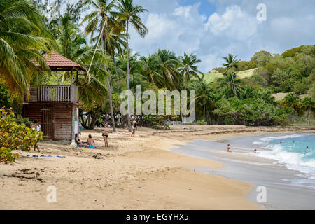 Une belle plage peu fréquentée, avec dans le roulement des vagues sur cette île de la Caraïbe à l'anse l'Etang, Tartane, Martinique, Caraïbes Banque D'Images