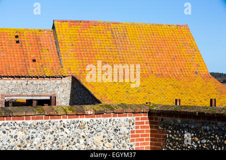 Sol carrelé d'argile couvertes de lichen granges couverte dans une ferme de Binham, North Norfolk, au Royaume-Uni. Banque D'Images