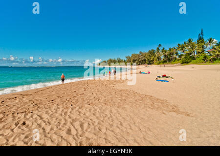 Kauai, Hawaii, USA - 31 août 2013 : les touristes en Haena beach tropical isolé exotiques dans l'île de Kauai, Hawaii, USA Banque D'Images
