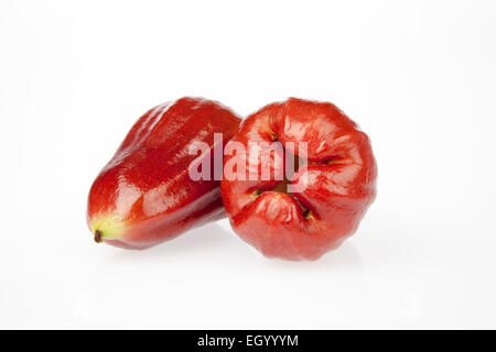 Deux apple rose sur fond blanc. Banque D'Images