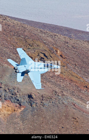 United States Navy F-18 Super Hornet, volant à basse altitude à travers un canyon désert. Banque D'Images