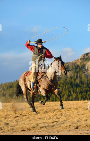 USA, Wyoming, équitation cowboy lasso oscillante Banque D'Images