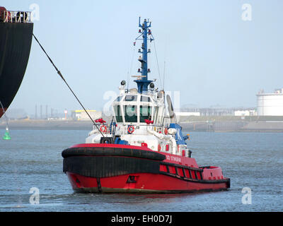 STINGRAY SD, l'OMI 9448176 dans le Mississippi harbour, Port de Rotterdam, pic8 Banque D'Images