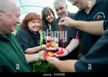 Les membres du Club de Chili Clifton Bristol réunion à l'attribution de Dovercourt UK Banque D'Images