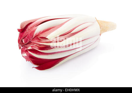 Radicchio, chicorée italienne rouge Banque D'Images