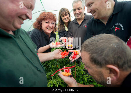 Les membres du Club de Chili Clifton Bristol réunion à l'attribution de Dovercourt UK Banque D'Images