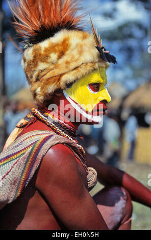 L'homme Tribal, Mt. Hagen, Papouasie Nouvelle Guinée Banque D'Images