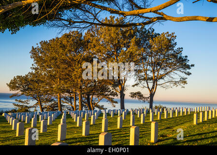 Le soleil levant éclairant arbres au cimetière national de Fort Rosecrans, San Diego, California, United States. Banque D'Images