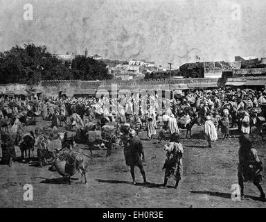 Début d'Autotype un jour de marché à Tanger, l'Algérie, de photographies historiques, 1884 Banque D'Images