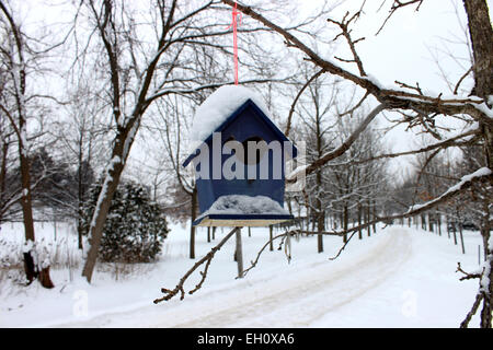 Photo d'une forêt et d'une petite maison bleue accrochée à un arbre qui protège les oiseaux qui perdurent pendant les froids de l'hiver canadien Banque D'Images