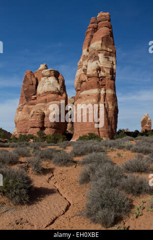 Formations rocheuses dans le Parc National de Canyonlands (Utah) Banque D'Images