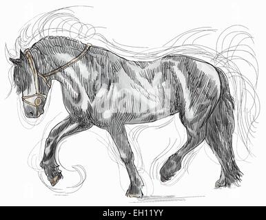 Un hand drawn vector illustration - cheval noir Illustration de Vecteur