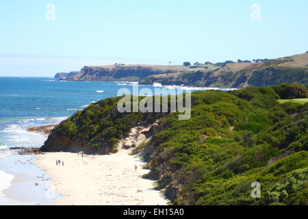 Mushroom reef marine sanctuary, Mornington Peninsula Banque D'Images