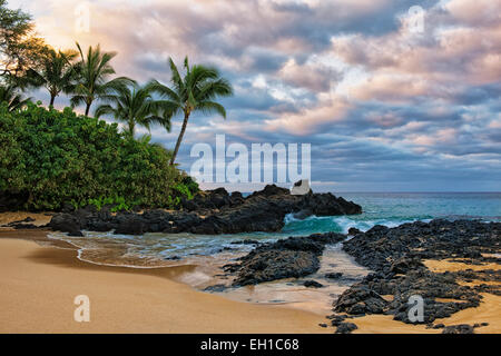 Première lumière révèle la beauté de mariage plage isolée sur l'île de Maui. Banque D'Images