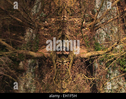 Réflexions d'arbres dans l'eau donnant lieu à quelques formes intéressantes. Banque D'Images