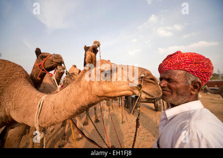 L'homme du Rajasthan avec une robe traditionnelle typique et ses chameaux à l'élevage et de chameaux de Pushkar juste Mela, Pushkar, Inde Banque D'Images