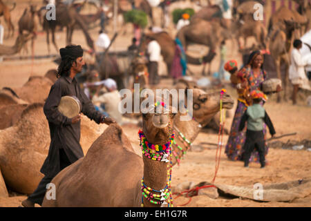 Et de l'élevage de chameaux de Pushkar juste ou équitable Pushkar Mela, Pushkar, Rajasthan, Inde, Asie Banque D'Images