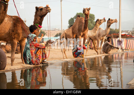 Les chameaux à un point d'abreuvement du bétail et le chameau à Pushkar juste ou équitable Pushkar Mela, Pushkar, Rajasthan, Inde, Asie Banque D'Images