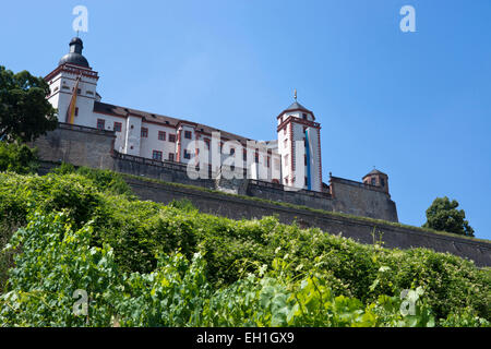 Le schlossberg et vignoble château Festung Marienberg, wuerzburg city, Bavaria, Germany, Europe Banque D'Images