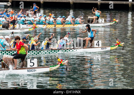 Les batteurs de femmes a donné le ton durant une course de bateaux-dragons, partie du Nouvel An chinois 2015. Darling Harbour, Sydney, Australie Banque D'Images