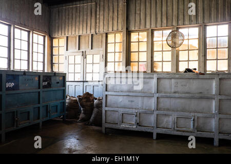 Kolukkumalai, près de l'usine de thé de Munnar Kerala Banque D'Images