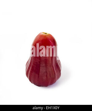 Rose pomme fruit isolé sur fond blanc et clipping path Banque D'Images