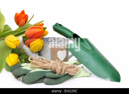 Accessoires de jardinage avec tulipes sur fond blanc Banque D'Images