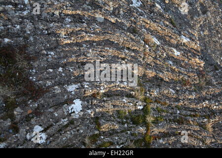 Rocks en couches dans la fissure de la croûte de la terre mid Atlantic ridge Le Parc National de Thingvellir Islande Banque D'Images